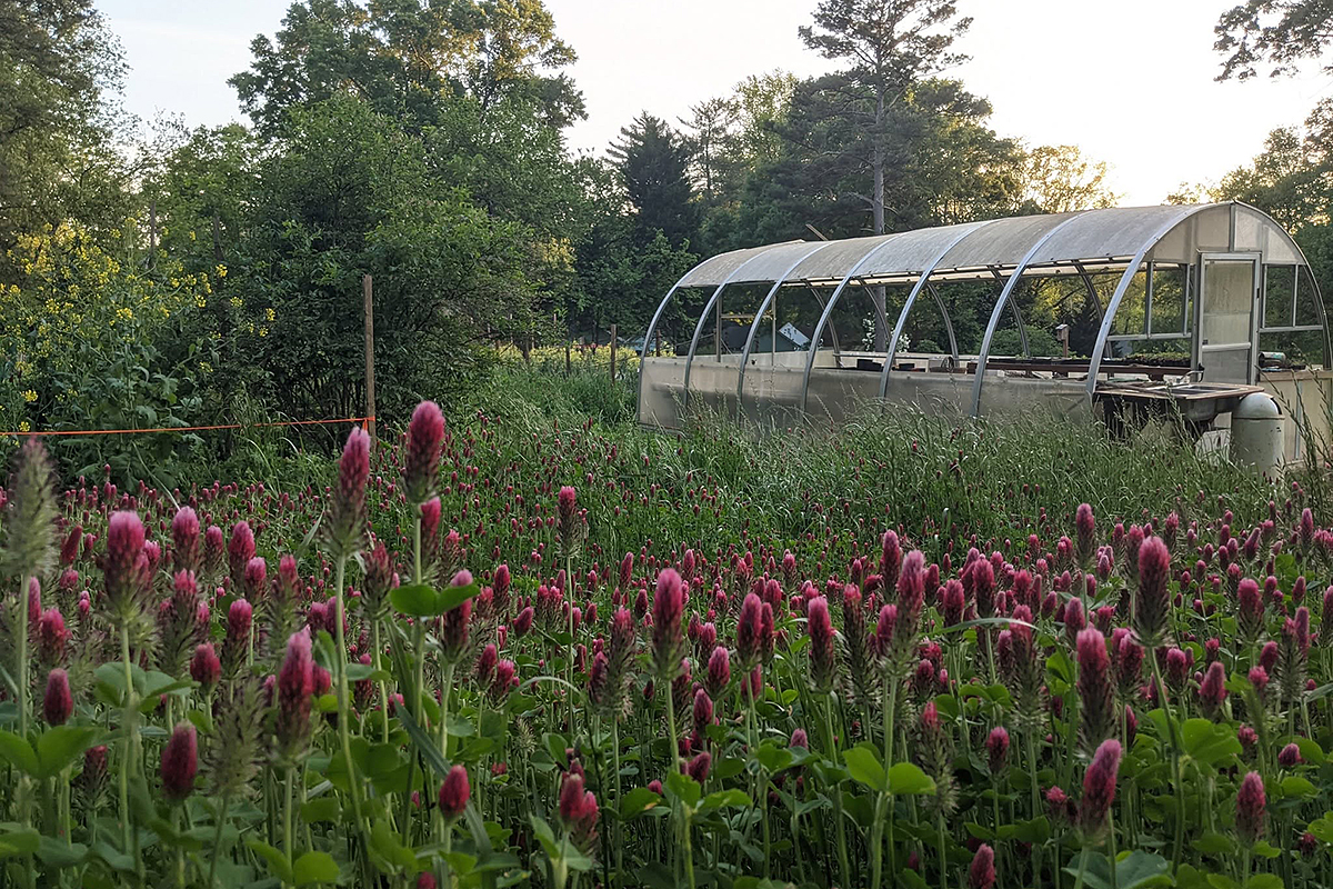 Urban Farm Ormewood