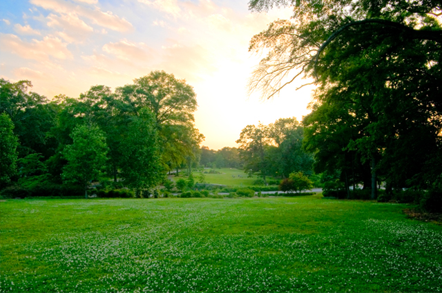 Olmsted Park Magnum