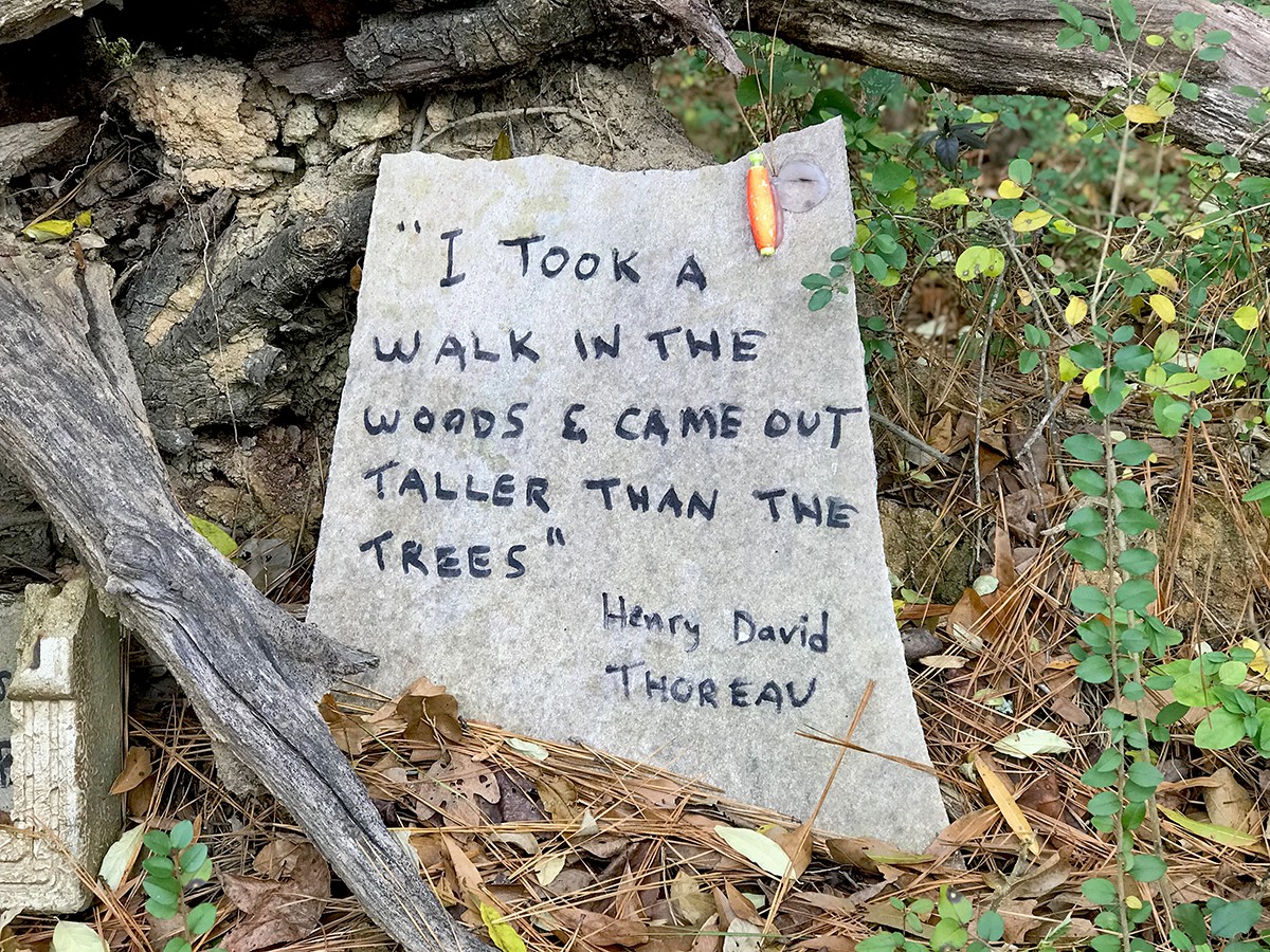 DollsHeadTrail Chad Radford