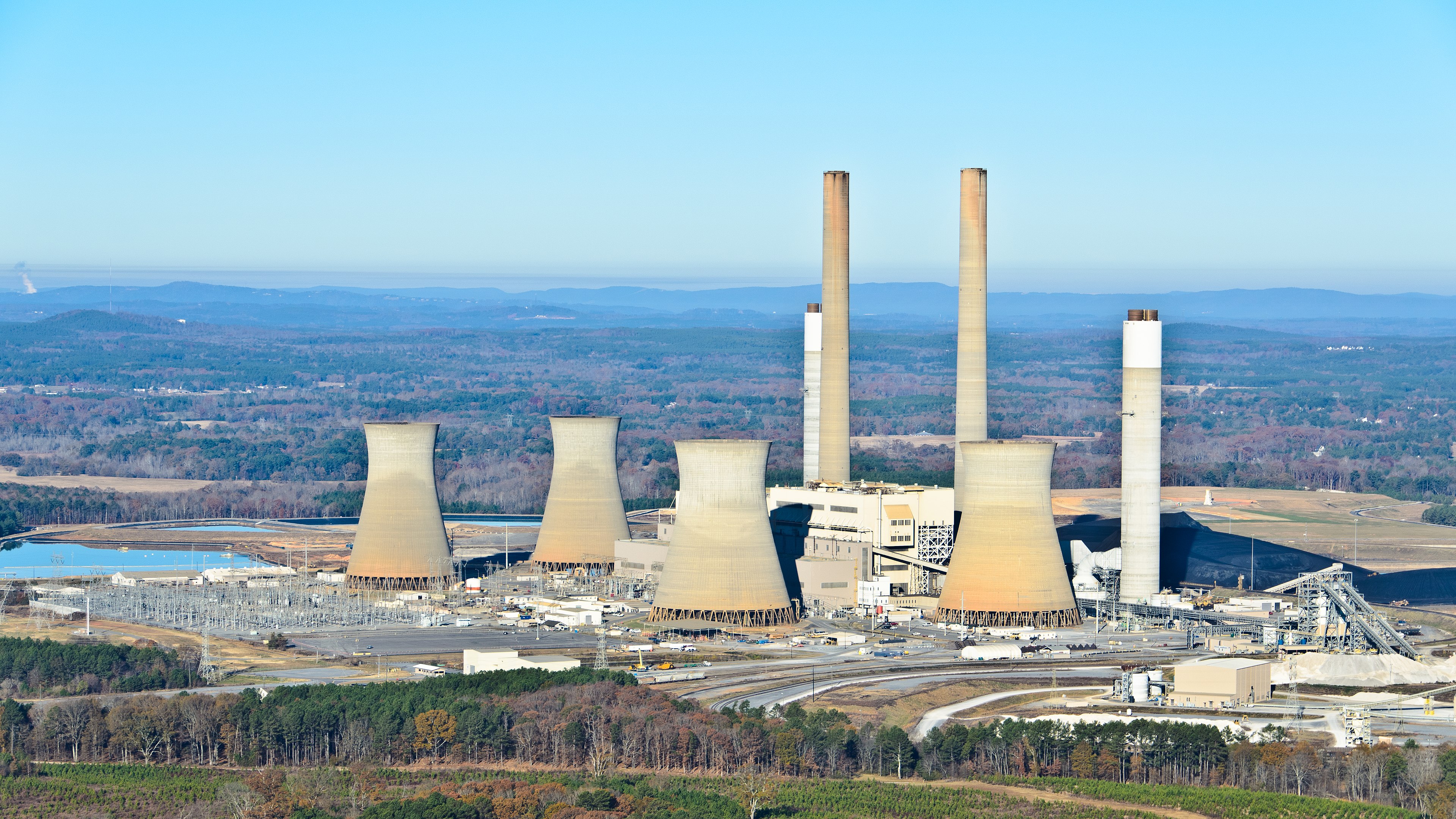 3840px Plant Bowen